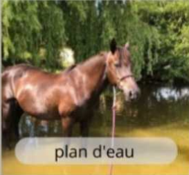 Moment détente